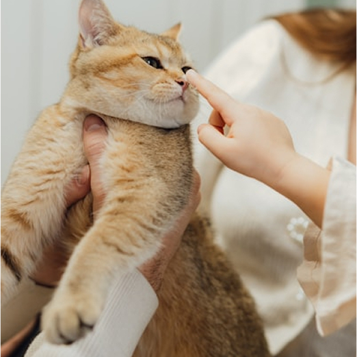 Про нас